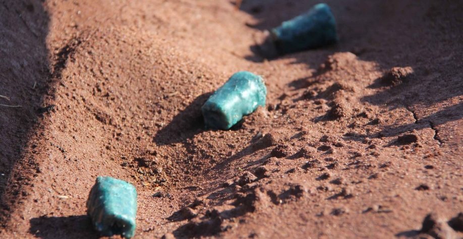 Atualmente são colocadas 4 capsulas do Emerald por metro. Crédito foto: CanaOnline