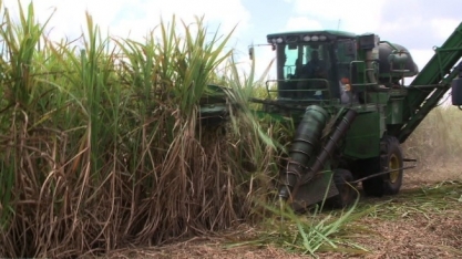 Para qual futuro estamos nos movendo?