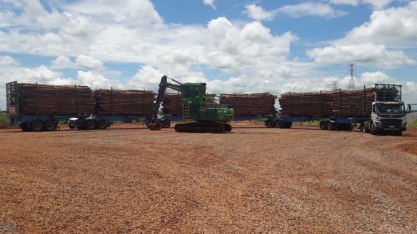 Suzano inicia operação com carretas de 52 metros em Três Lagoas (MS)
