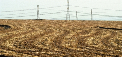 Crescimento do PIB deve dobrar para 2% em 2020, aquecendo o consumo, inclusive dos produtos da cana