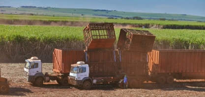 Moagem ultrapassa resultado da safra 2018/2019