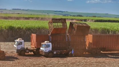 Moagem ultrapassa resultado da safra 2018/2019
