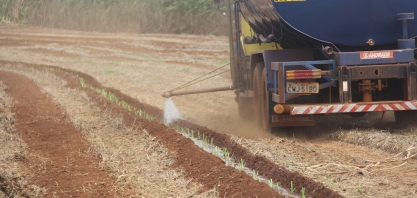Água é fundamental para o sucesso do manejo com MPB