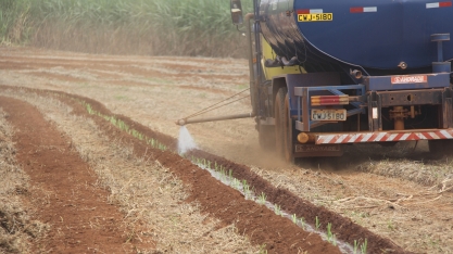 Água é fundamental para o sucesso do manejo com MPB