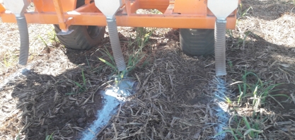 Adubo e calcário na soqueira melhoram desempenho do canavial