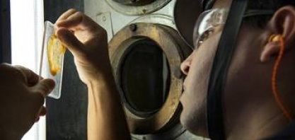 Raízen abre mais de 2.500 vagas de emprego em diversas cidades do país