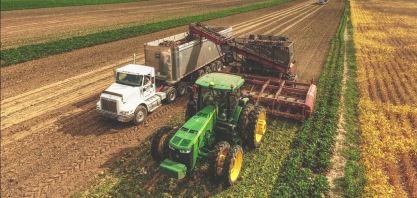 EUA podem elevar importação de açúcar por causa de problema na safra 2019/20