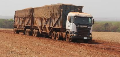 Recuperação do setor sucroenergético vai engordar a geração de empregos