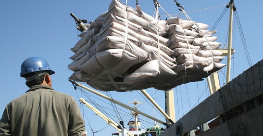 De acordo com com estudos do Cepea/USP, a elevação do dólar tende a favorecer o agronegócio, porque o setor exporta mais do que importa e tem sido superavitário nos últimos 25 anos (Foto: Divulgação)