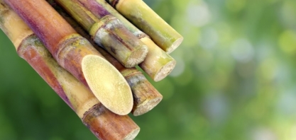 Último ATR de 2019 tem alta de 4,1%