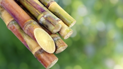 Último ATR de 2019 tem alta de 4,1%