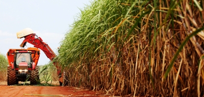 A safra 2019/20 está sendo melhor que as expectativas iniciais no agronegócio da cana