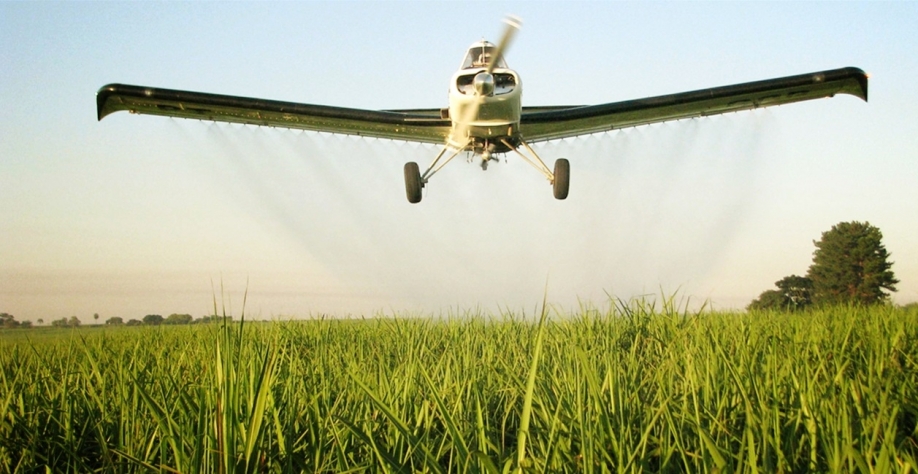 Adubos foliares podem ser aplicados com aviões agrícolas durante o período de maior desenvolvimento vegetativo da cana