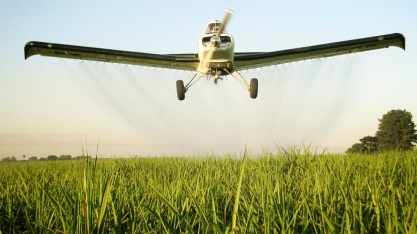 Adubação foliar resulta em ganhos de produtividade de 4 a 8 toneladas de cana por hectare