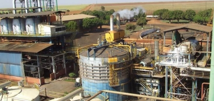 A safra canavieira não para em Mato Grosso do Sul