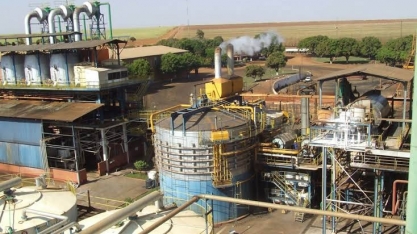 A safra canavieira não para em Mato Grosso do Sul