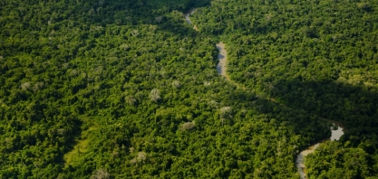 “Chance zero de haver plantio de cana na Amazônia e no Pantanal”, afirma Presidente da UNICA