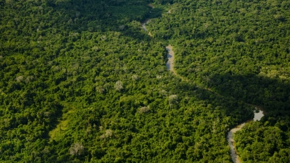 “Chance zero de haver plantio de cana na Amazônia e no Pantanal”, afirma Presidente da UNICA