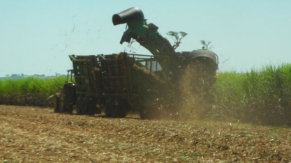 Preço do etanol tem alta em função da entressafra da cana
