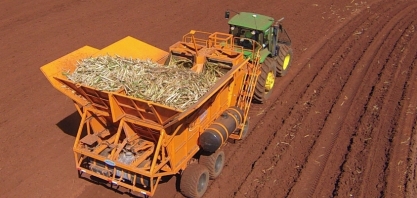 Área de plantio de cana deverá crescer na safra 2020/21