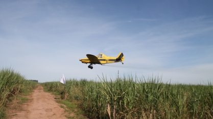 Agtech desenvolvedora de sistema de monitoramento de aviões agrícolas cresce 120% em dois anos