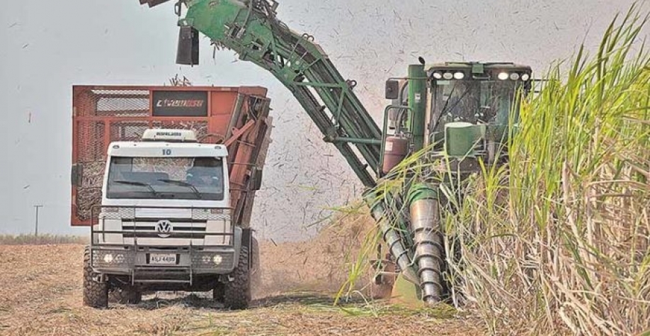 Clima favorável na atual temporada contribuiu para o desenvolvimento da cultura, que deve somar 68 milhões de toneladas - Crédito: Marcio Bruno