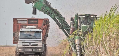 MG: produção de cana-de-açúcar deve subir 7,7% no Estado, diz a Conab