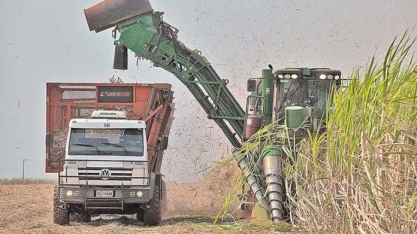 MG: produção de cana-de-açúcar deve subir 7,7% no Estado, diz a Conab