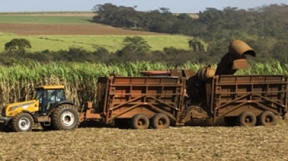 Vagas de emprego no setor sucroenergético
