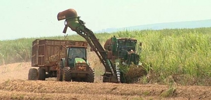 Safra de cana está terminando em MT
