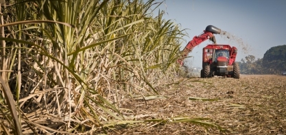 Safra da cana já acumula quase 572 mil toneladas de açúcar
