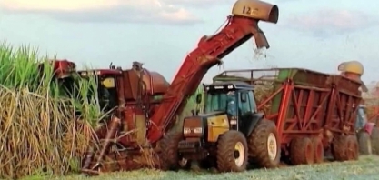 CONAB eleva projeção para a safra de cana no centro-sul em 2019/20 para 589 mi t