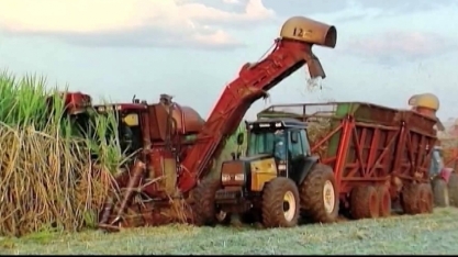 CONAB eleva projeção para a safra de cana no centro-sul em 2019/20 para 589 mi t