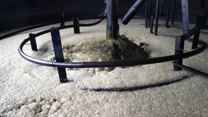 CNPEM e startup GlobalYeast vão desenvolver novas tecnologias para processos fermentativos