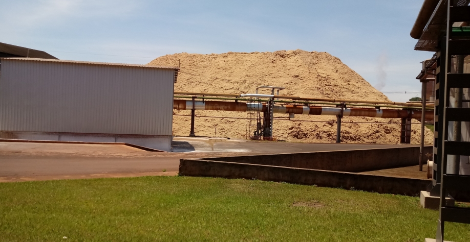 Bagaço de cana em usina de açúcar e álcool. Foto: Silvio Vaz Jr.