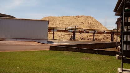 Brasil coordena consórcio internacional para o desenvolvimento de bioprodutos à base de resíduos agrícolas