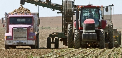 Mercado de açúcar dos EUA enfrenta crise após colheita fraca