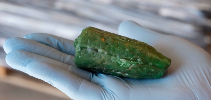 Plantio com semente artificial de cana Emerald deverá ser em torno de 15% menor que o custo com o plantio convencional