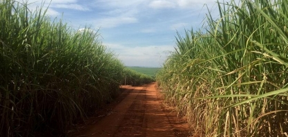 Produção de etanol do brasil bate recorde anual meses antes do fim da safra