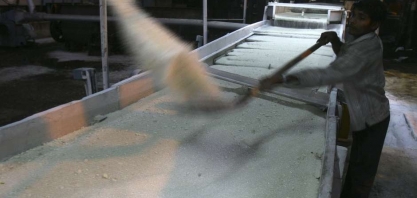 Produção de açúcar da Índia cai 54% entre outubro e novembro com atraso em moagem