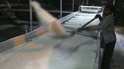 Produção de açúcar da Índia cai 54% entre outubro e novembro com atraso em moagem