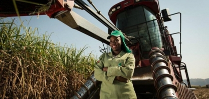 Angola: Biocom Produz 110 mil toneladas de açúcar na temporada 2019