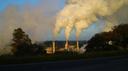 Zilor conquista Prêmio Qualidade Fornecedores de Ingredientes Coca-Cola