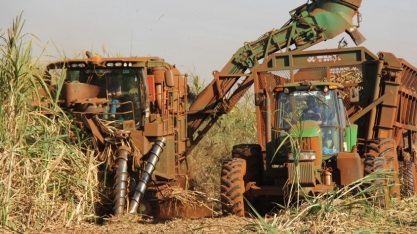 Programa para biocombustível RenovaBio pode ser aliado contra desmatamento