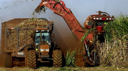 Moody's melhora perspectiva para setor de etanol e açúcar do Brasil