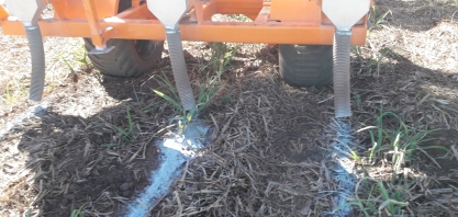 Calagem na dose certa, na linha da cana e sem poeira