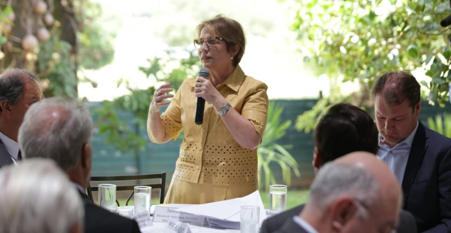 Ministra Tereza Cristina faz balanço de 2019 para Frente Parlamentar da Agropecuária - Guilherme Martimon/Mapa