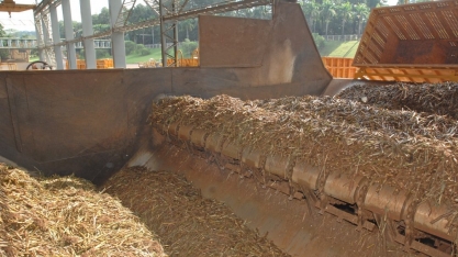 Moagem ultrapassa 577 milhões de toneladas