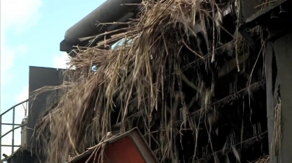 Safra de cana-de-açúcar será maior que a do ano passado