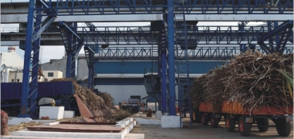 Mais que preços, acordos bilaterais garantem maiores vendas ao açúcar indiano